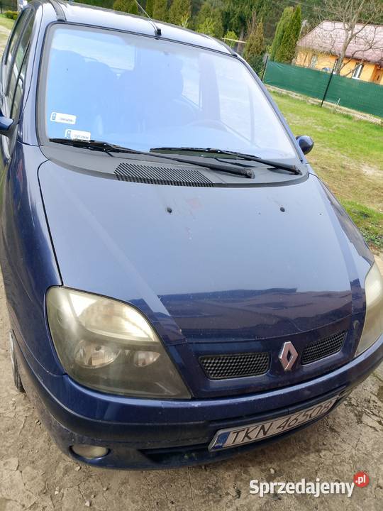 Renault scenic Końskie