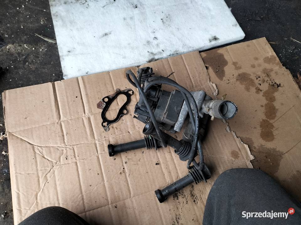 FIESTA MK5 MK6 14 KRUCIEC WODY CEWKA ZAPŁONOWA Motoryzacja Kamień-Kolonia