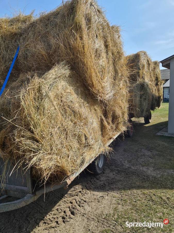 Sprzedam siano Firlej
