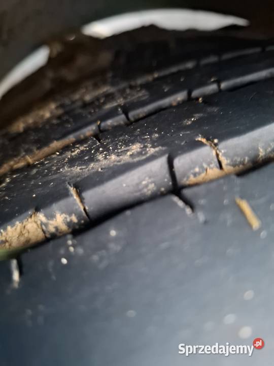 Przyczepa rolnicza Trailor Ciechocinek