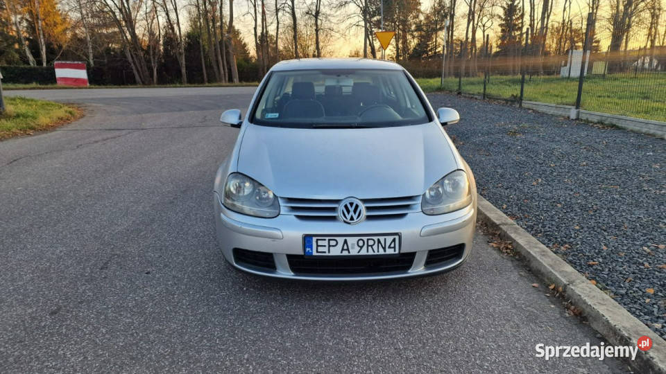 Volkswagen Golf 20 TDI 140 2004 Klima Elektryka łódzkie