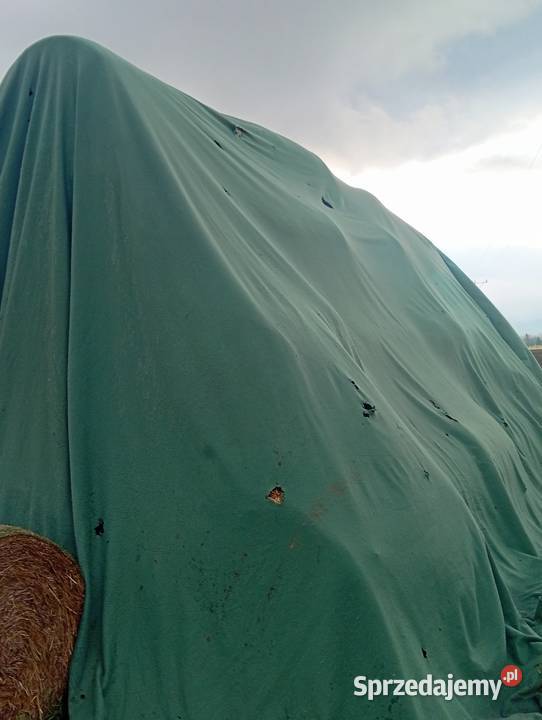 Siano dolnośląskie Ząbkowice Śląskie sprzedam