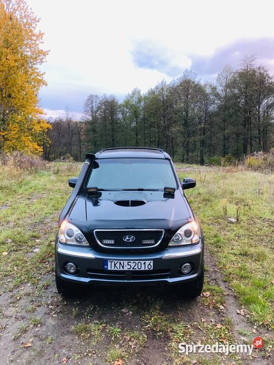 Hyundai Terracan 29 AUTOMAT 3 Pozycyjny nieuszkodzony łódzkie Łódź