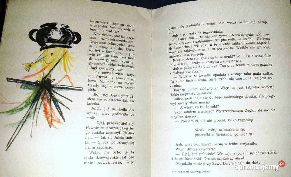 Pamiętnik Czarnego Noska Janina Porazińska Adam Rok wydania 1964 Chełm