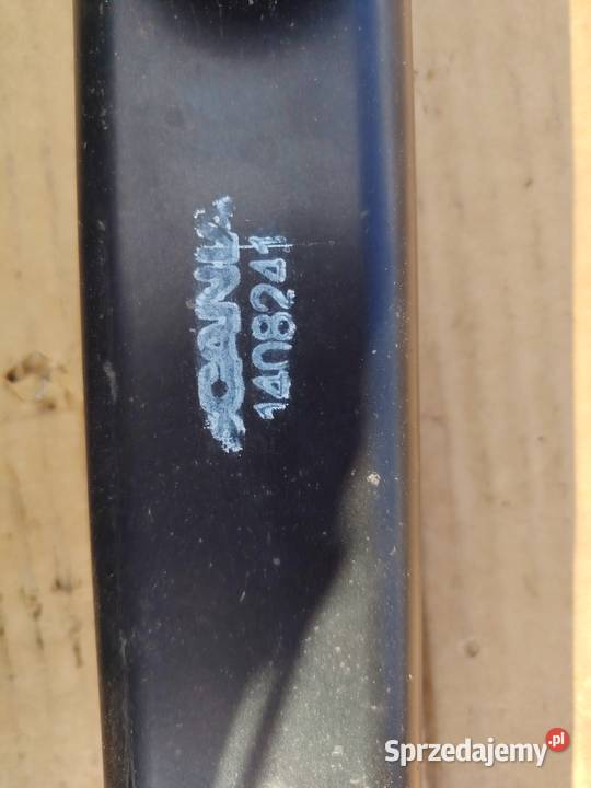 Relingi scania Staszów