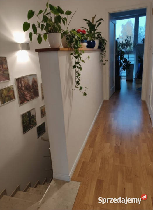 Segment 4 pokoje 2 łazienki ogródek 2 miejsca Sprzedaż mazowieckie Nowy Dwór Mazowiecki