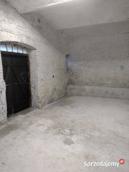 Magazyn na wynajem Rogoż