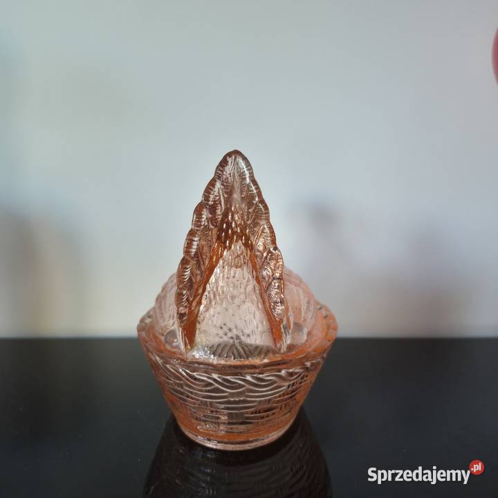 Kura Ząbkowice Tychy