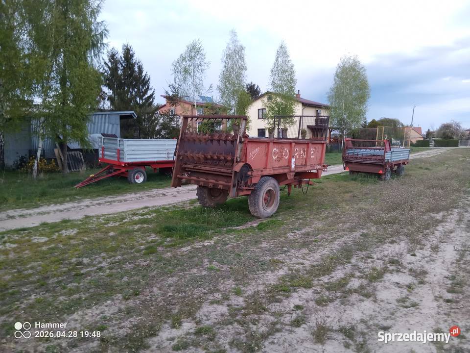 Rozrzutnik Obornika Skorupowy CORN 6 Ton Kurów