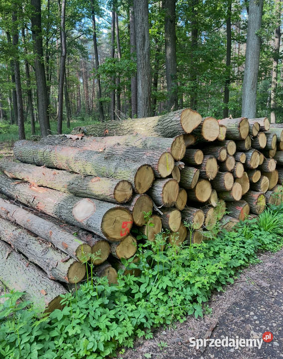 Drewno Opałowe tanio Opole