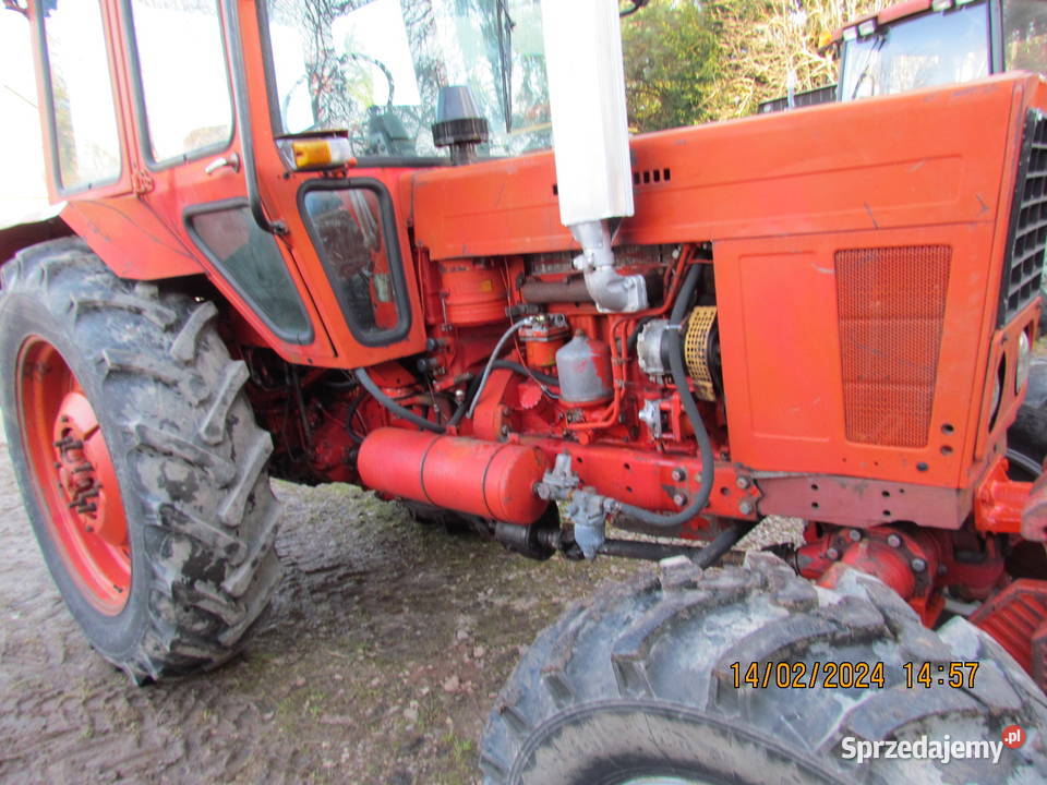 Sprzedam MTZ 82 z przednim napędem Święta Katarzyna - Sprzedajemy.pl