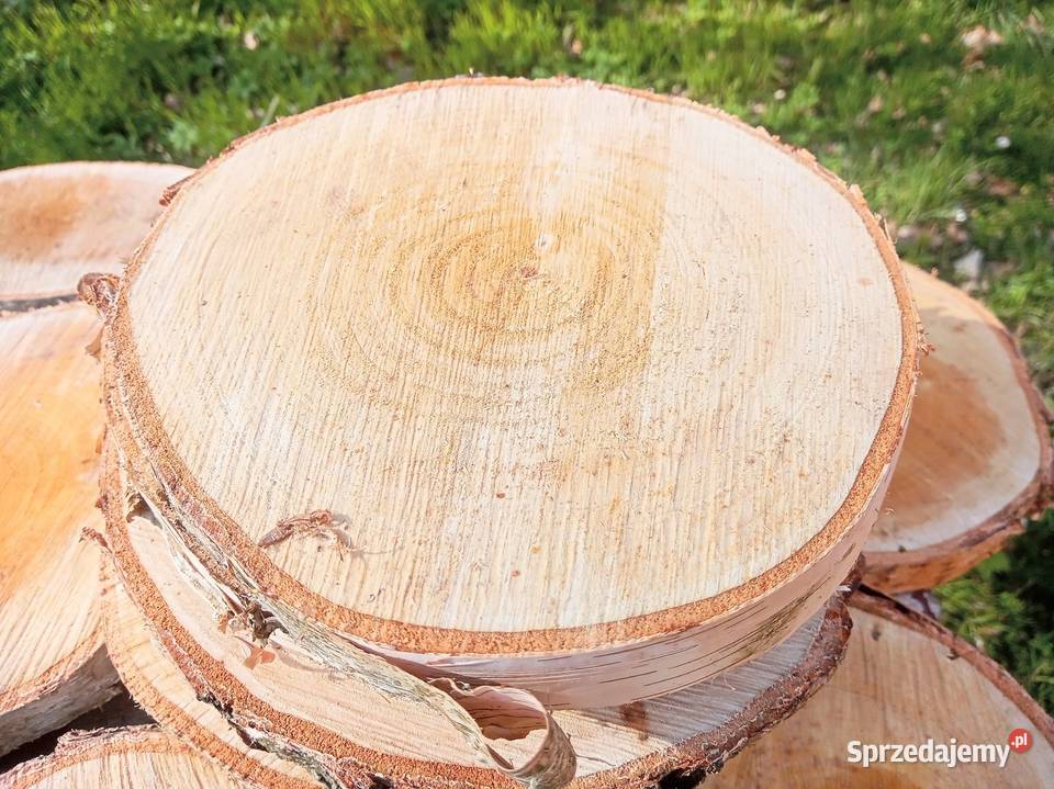 Plastry drewniane krążki brzoza 2429 Zduńska Wola