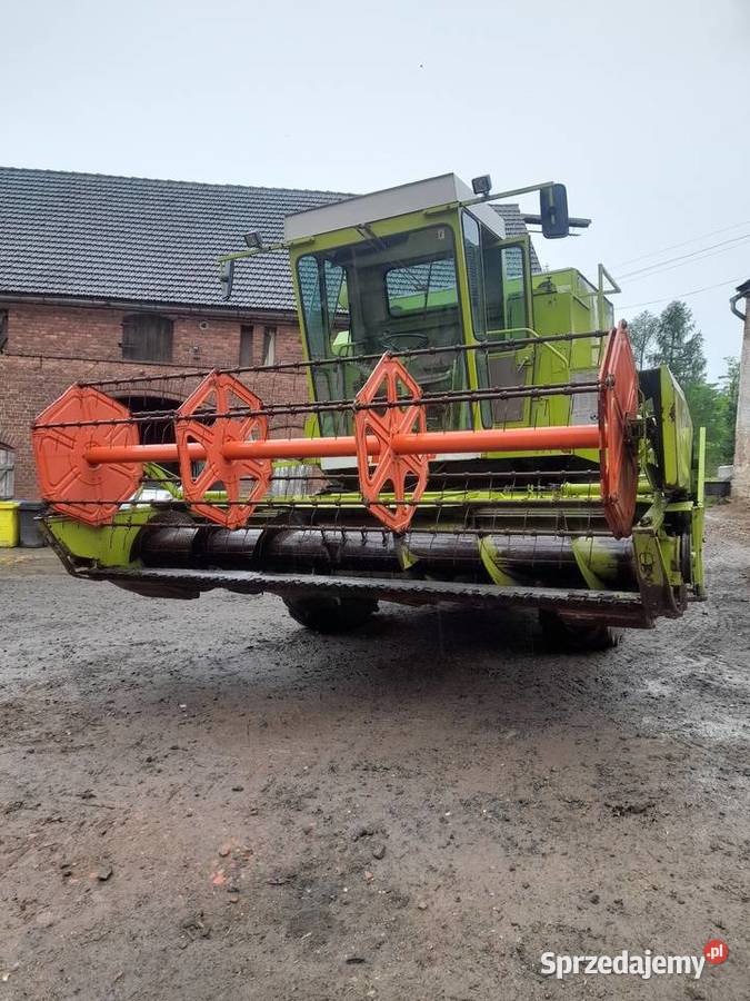 Kombajn zbożowy Claas Dominator 85 nie bizon Gryfów Śląski