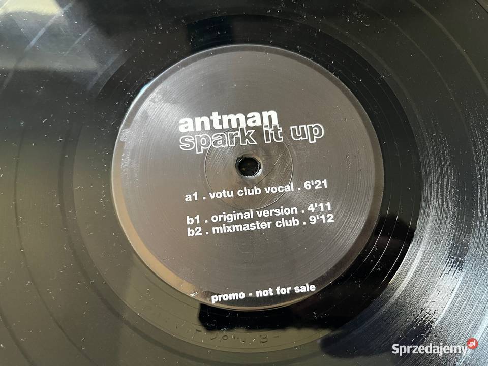 Antman Spark It Up House Tech House 1 płyta Błażejowice sprzedam