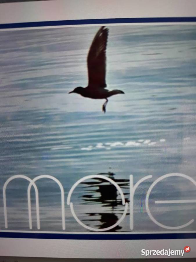 Archiwum jugosłowiańskiego jazz rocka MORE More Rzeszów sprzedam