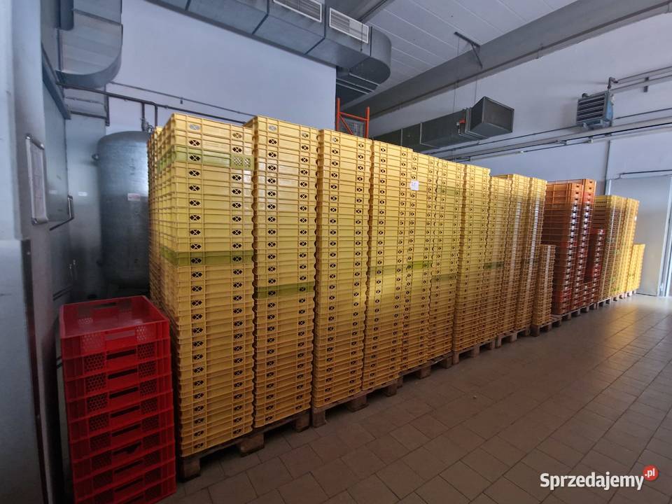 Skrzynki piekarnicze żółte 60x40x8 Rzeszów sprzedam