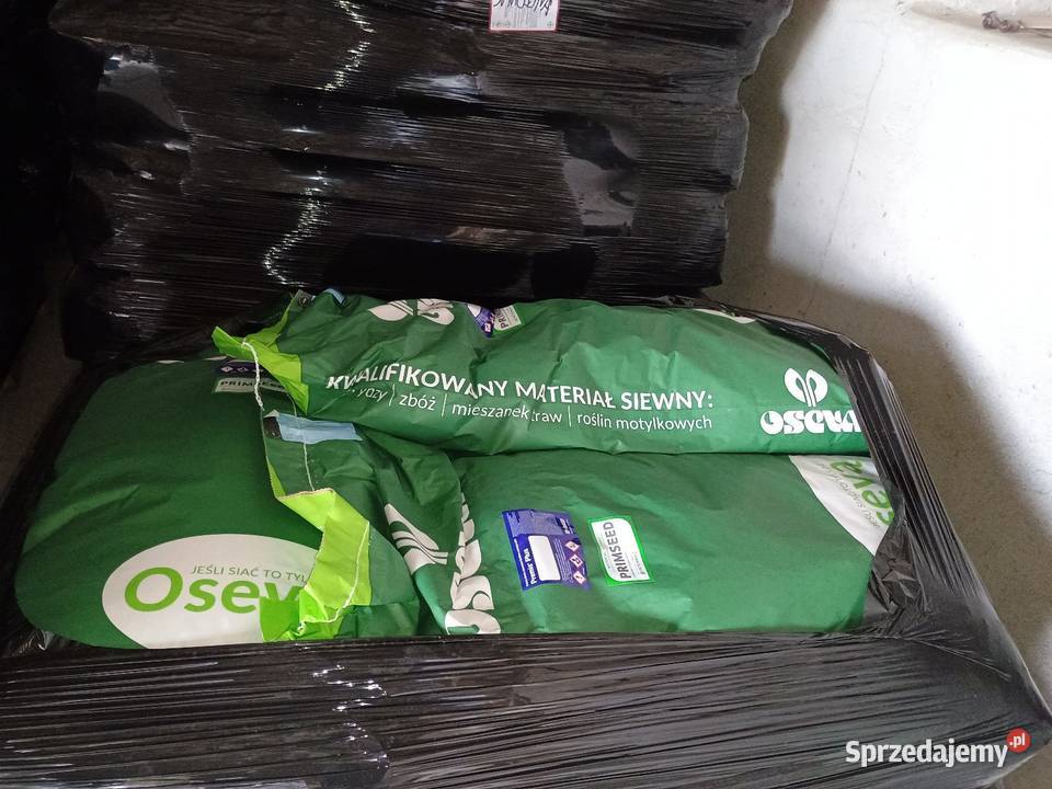 Jęczmień ozimy Tajfun C1 bezpośrednio producenta