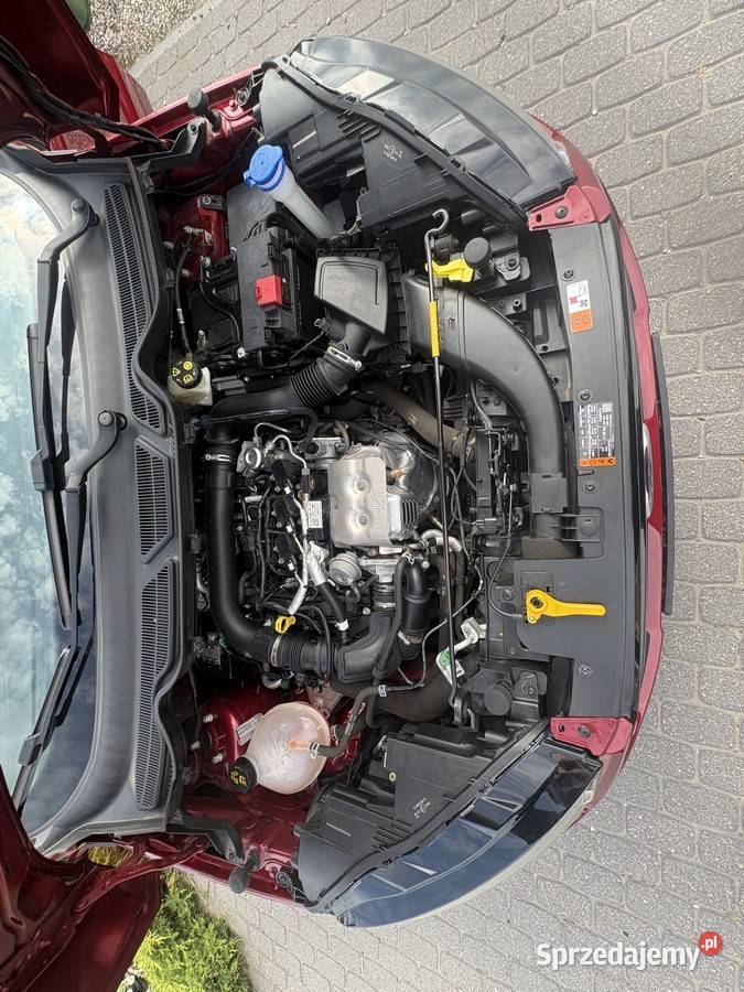 Ford EcoSport 2018 10 EcoBoost 102 Automat kujawsko-pomorskie