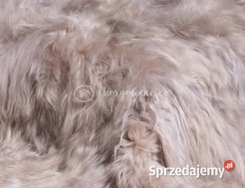 Narzuta ze skóry owczej islandzkiej beżowa