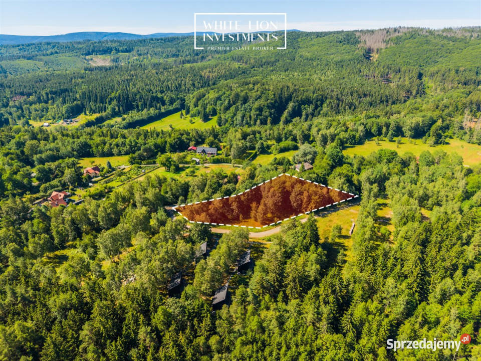 Grunt 2996m2 Studzienno Sprzedaż