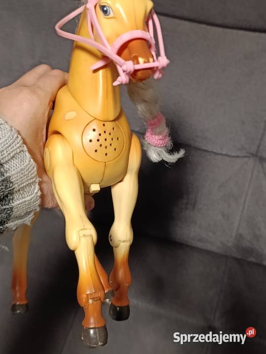 interaktywny koń wielkopolskie Poznań