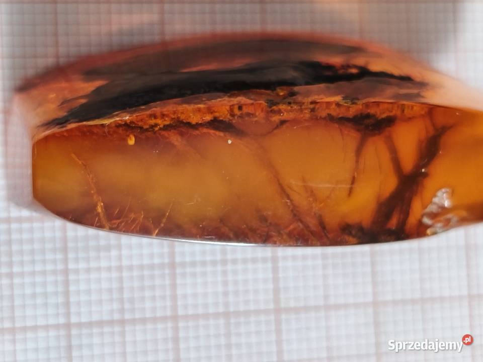 Bursztyn Inkluzja Roślinna Białystok