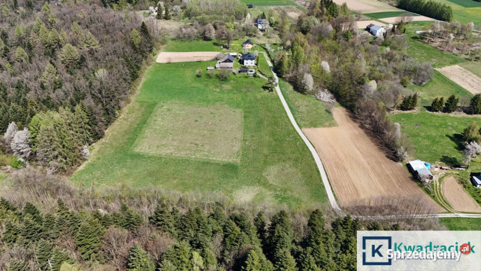 Działka 12569m2 Niepla 12569m2