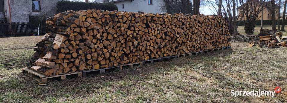 Drewno na ognisko do wędzenia olcha Bojszowy