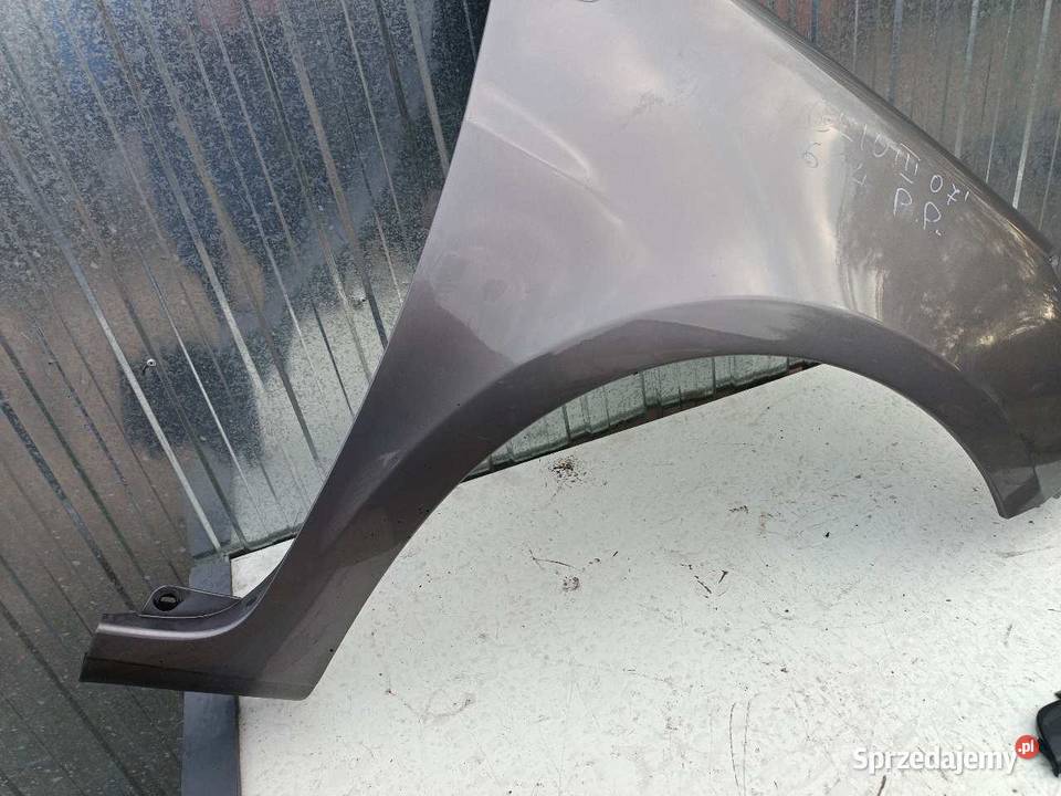 BŁOTNIK PRAWY PRZÓD RENAULT CLIO III sprzedam
