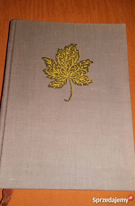 poziomy Wołody Skiba WŁADYSŁAW SABOWSKI Łódź