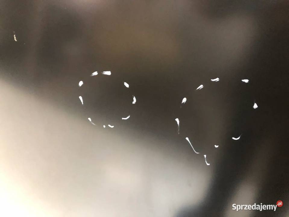 KIA CARNIVAL III 20062010 Maska silnika Pokrywa Skarżysko-Kamienna sprzedam