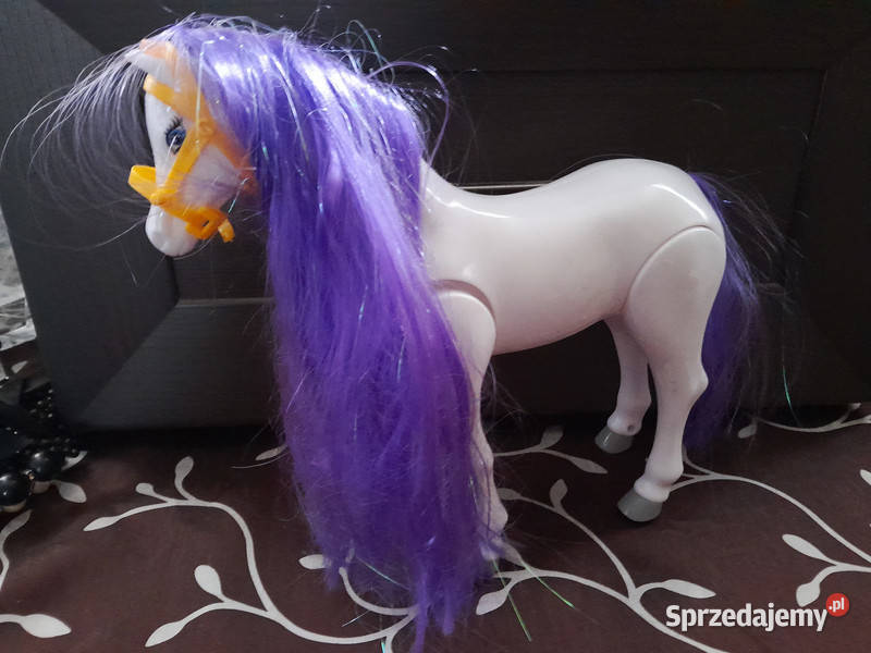 biały koń interaktywnyDuży Chodzący Koń Konik śląskie Sosnowiec