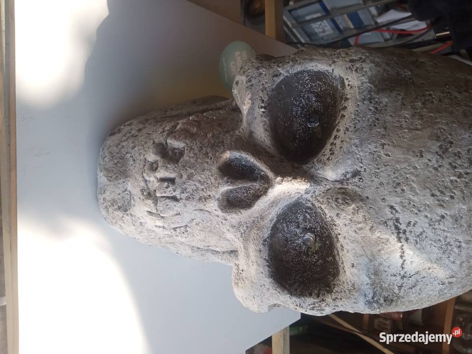 Czaszka Halloweenowa LED Dekoracyjna Duża wys 55 Warszawa