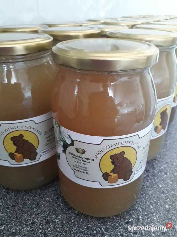 Miód pszczeli wielokwiatowy polski z własnej Pruchna