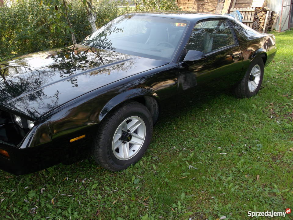 chevrolet camaro Legnica