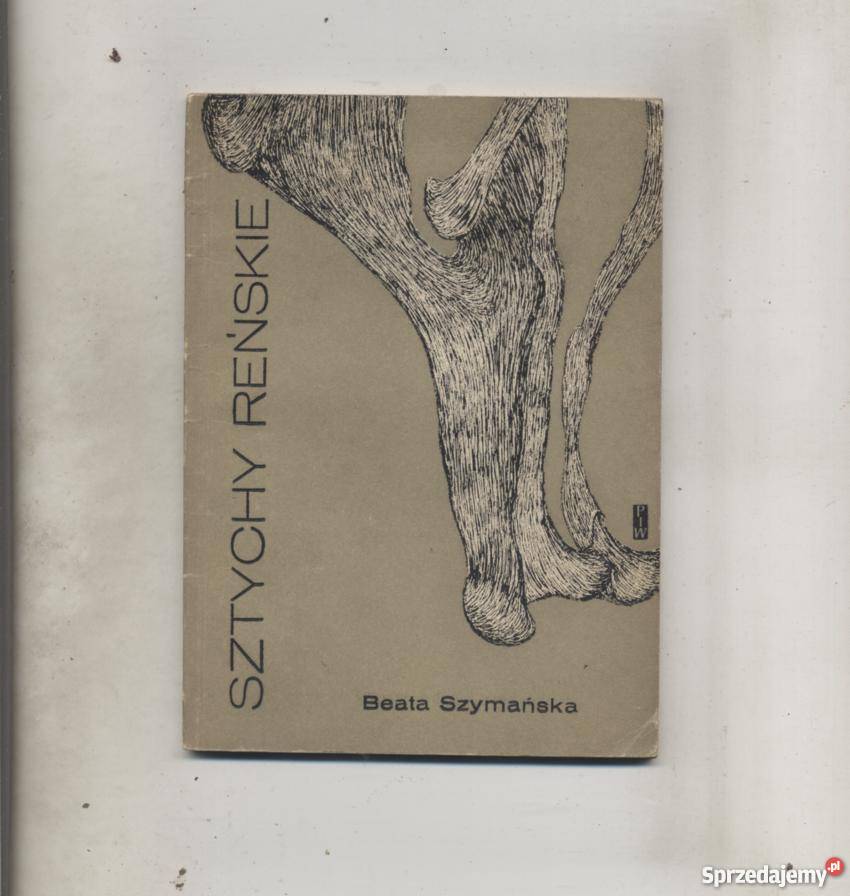 Sztychy reńskie Szczecin