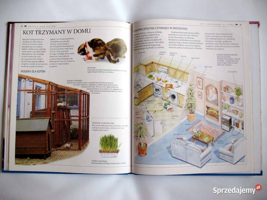 Koty Opieka książka polska BFogle AEdney Tom 1 zwierzęta domowe i hodowlane mazowieckie