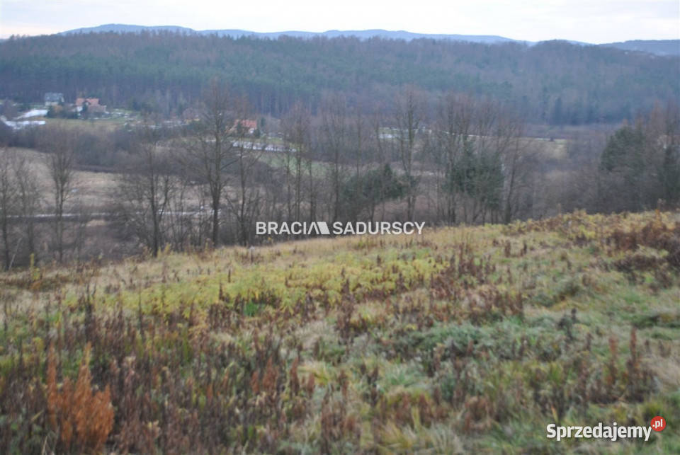 Grunt 22100 metrów Głogoczów 224m Sprzedaż