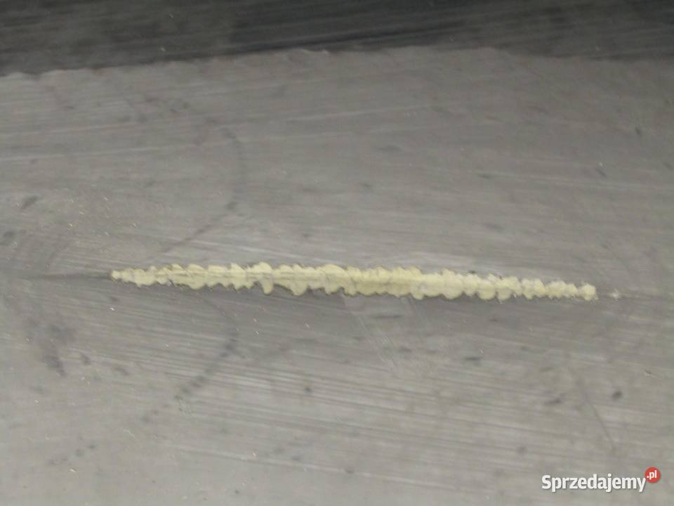 DRZWI PRZEDNIE LEWY PRZÓD NH731P HONDA CIVIC X