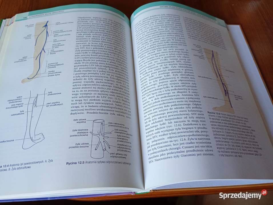 Ultrasonografia naczyń obwodowych Abigail Thrush Kultura i Rozrywka sprzedam