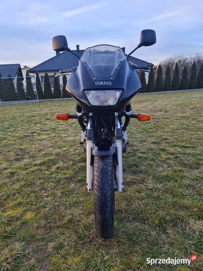 Yamaha xj600s Diversion Borowa