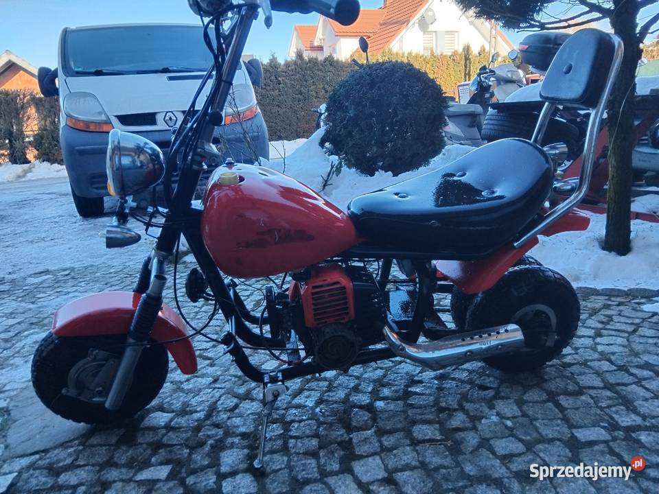 Mini pocket bike chopper spalinowy dzieci Konina