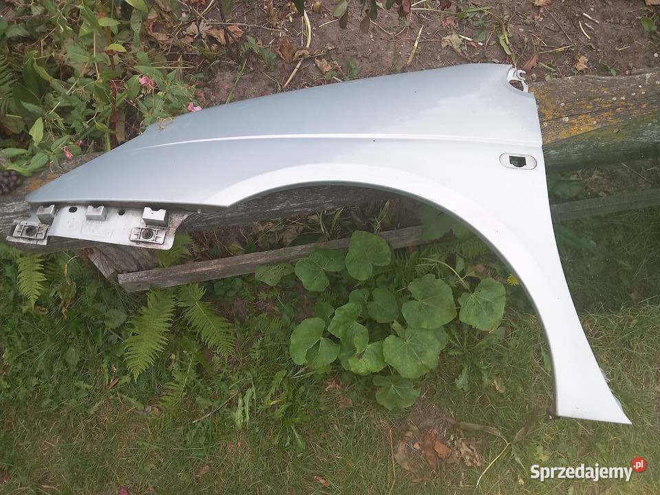 Błotniki prawy lewy do Renault Megane Scenic 19 Sosnowiec