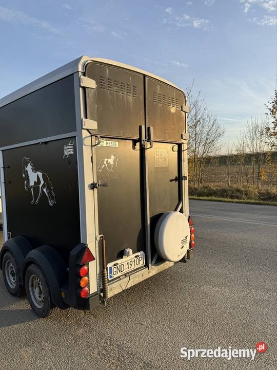 Ifor williams przyczepa do koni 2009r VAT marża Do przewozu koni pomorskie Solnica