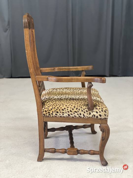 Klasyczny fotel dębowy siedzisko w panterkę 70cm Budno