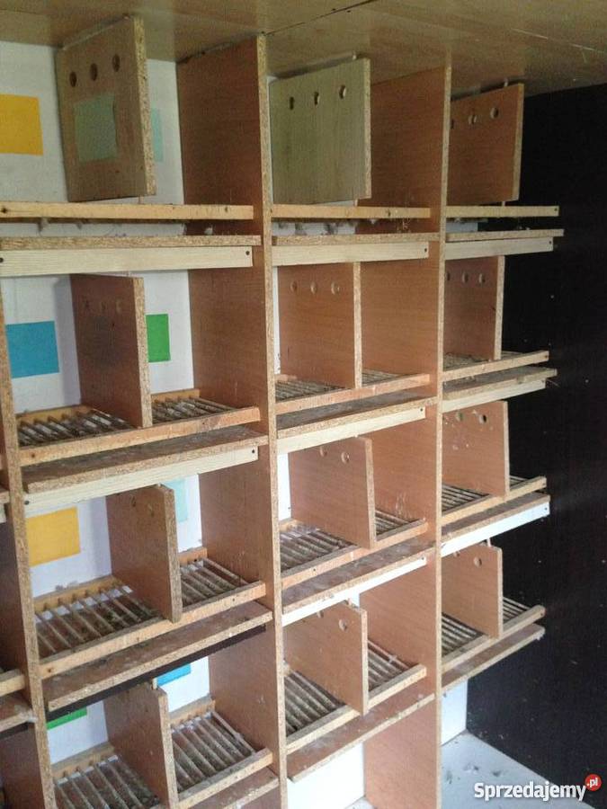 Sprzedam Gołębnik sprzedam