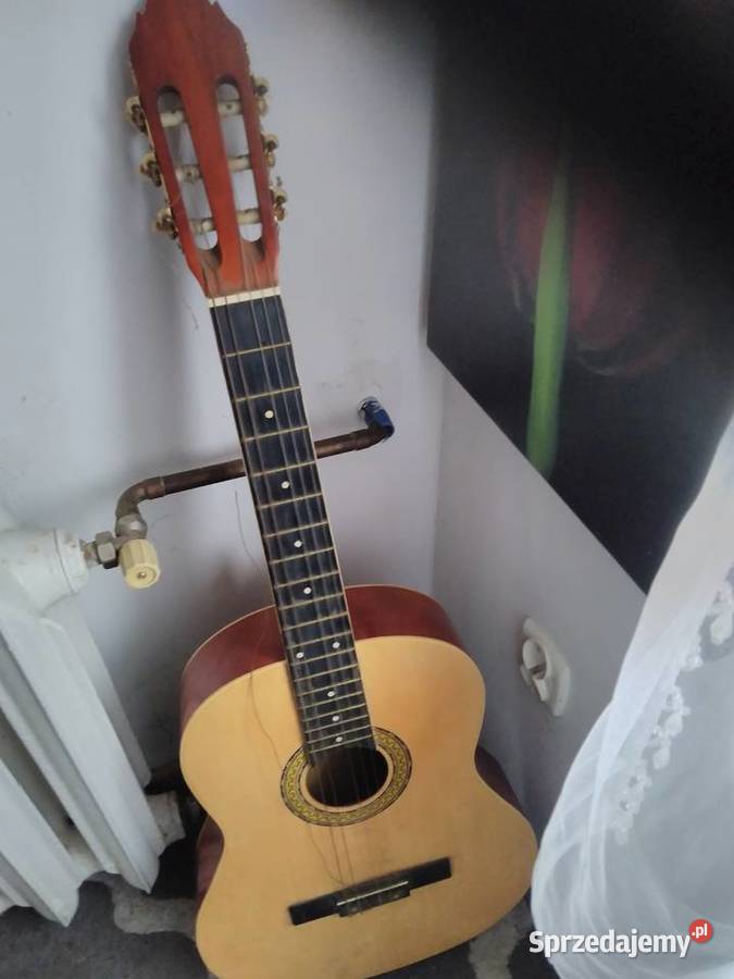 Gitara klasyczna Nowe Miasto Lubawskie
