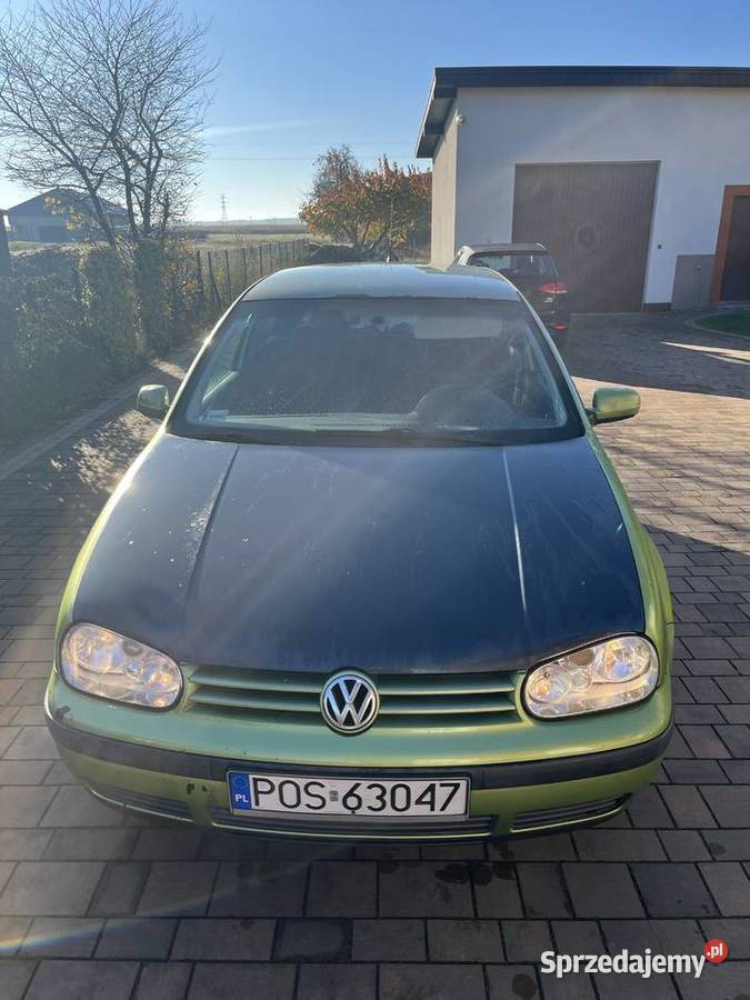 Volkswagen Golf IV Golf wielkopolskie