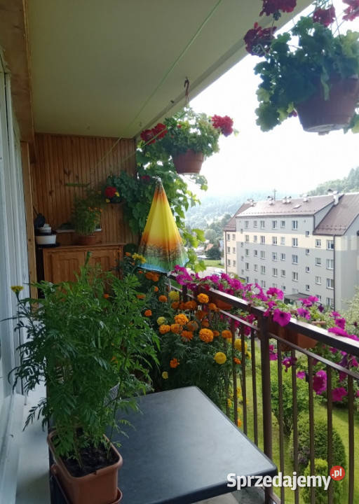 Sprzedam mieszkanie w Bieszczadach 63m2 Ustrzyki Dolne