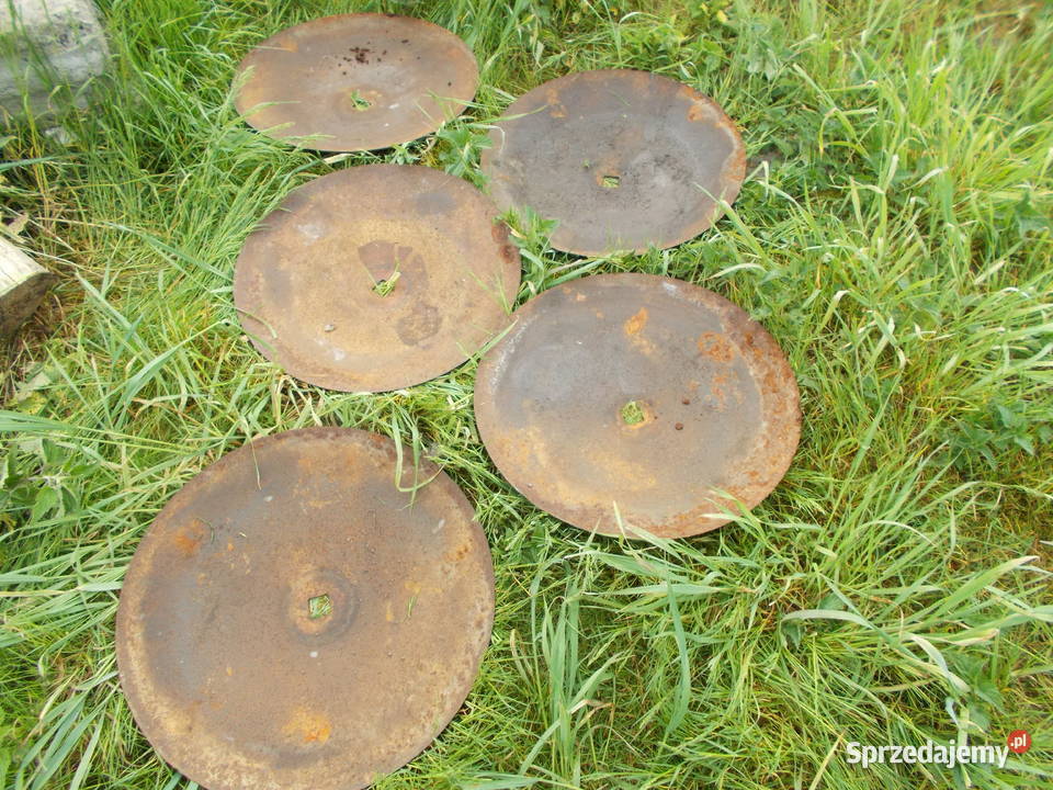 Brona Talerzowa TALERZE PEŁNE 5 opolskie Brzeg